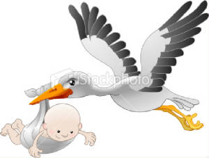 stock-illustration-8708330-stork-delivering-a-newborn-baby.jpg